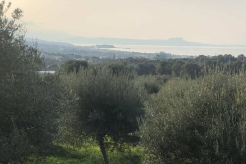 plot-for-sale-in-adele-rethymno-1