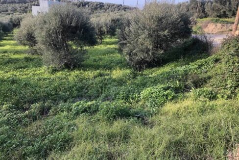 plot-for-sale-in-adele-rethymno-4