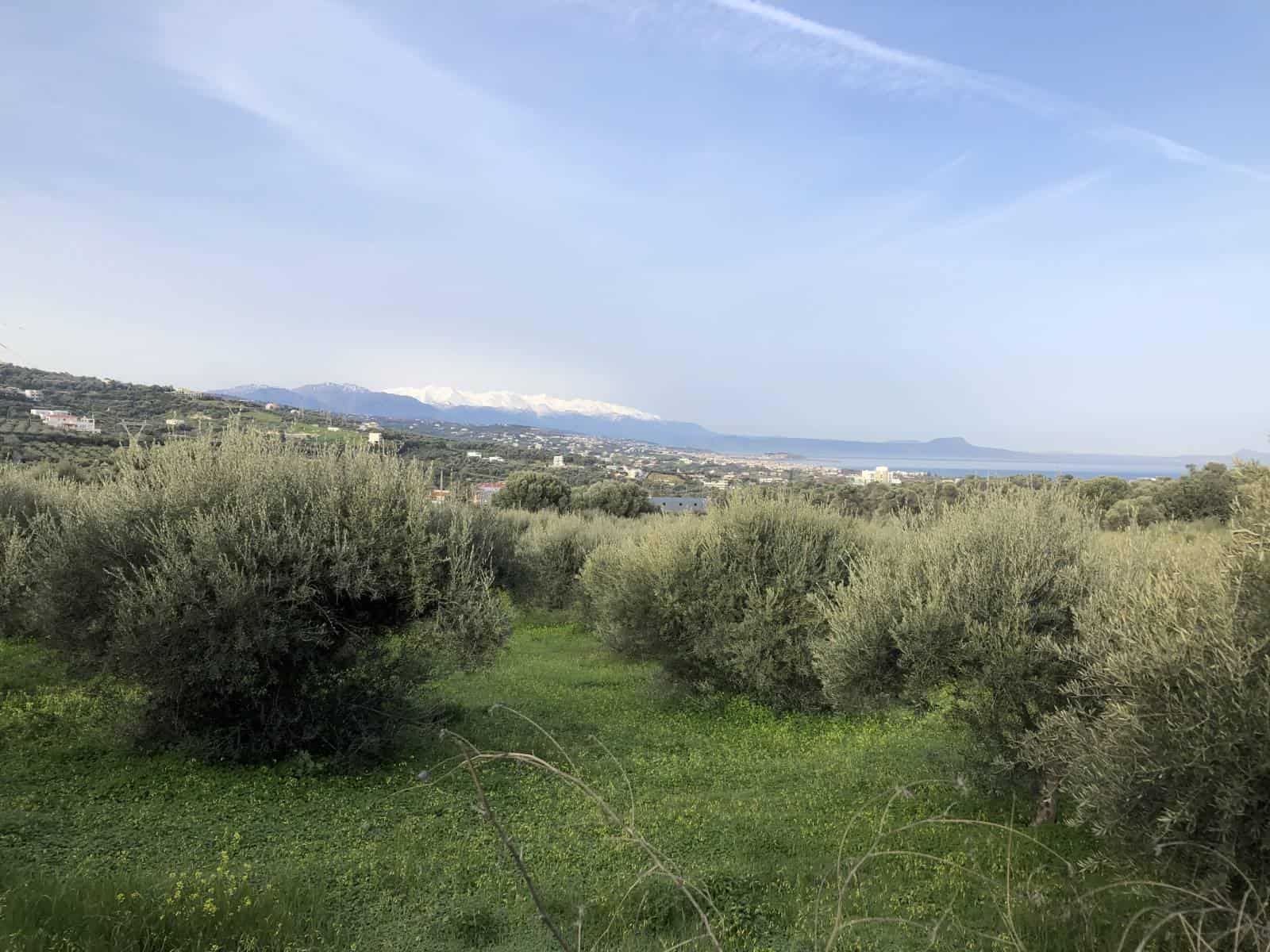 plot-for-sale-in-adele-rethymno-6