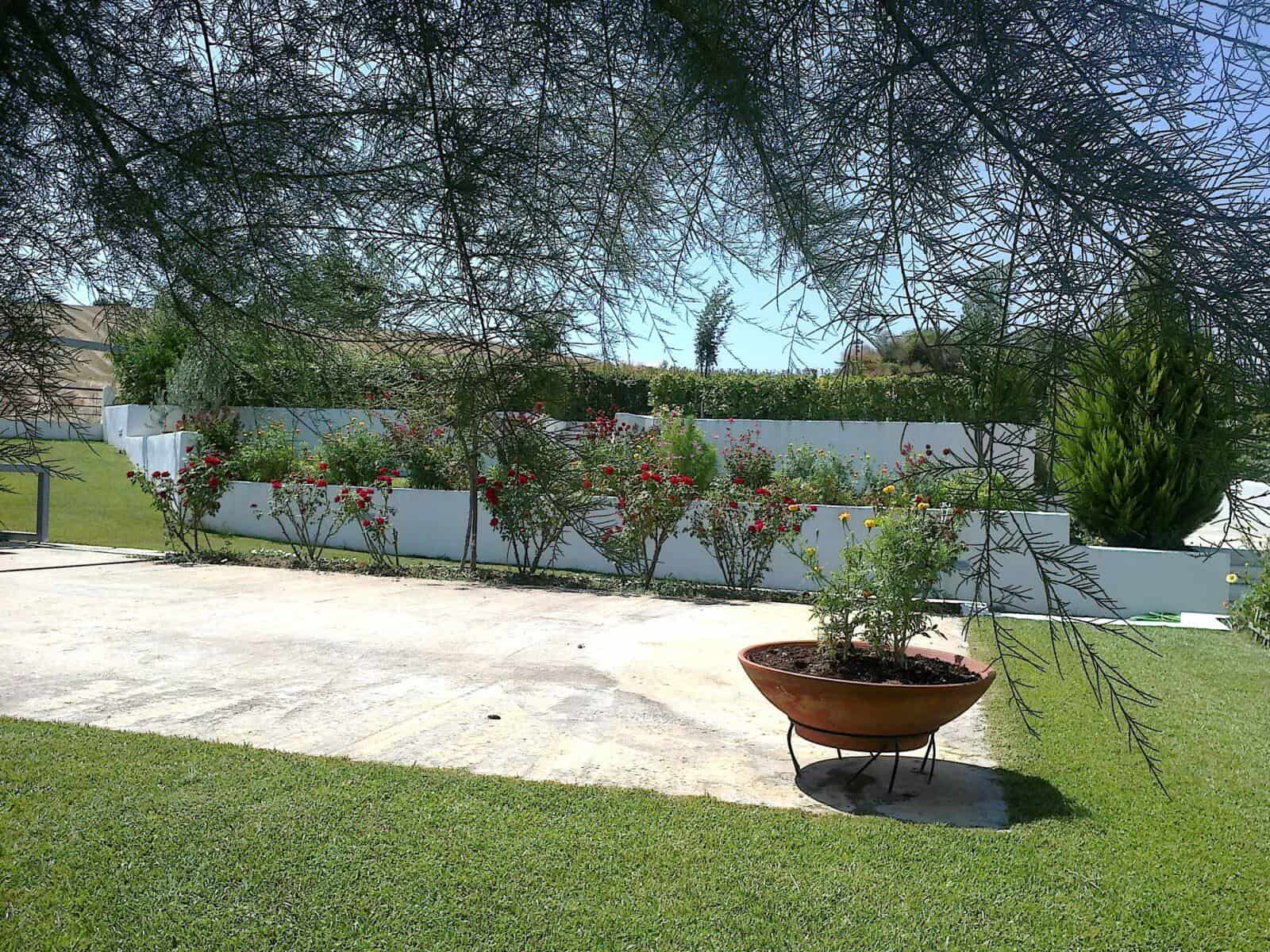 apartment complex for sale in Kassandra 10
