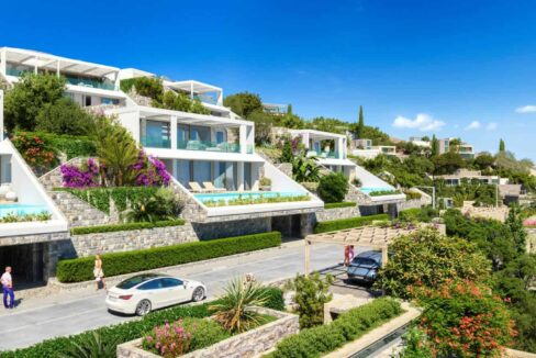 r31_new_green_Bougainvillea_res_res_7168_REV