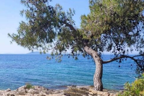 Plot land for sale chalkidiki greece12