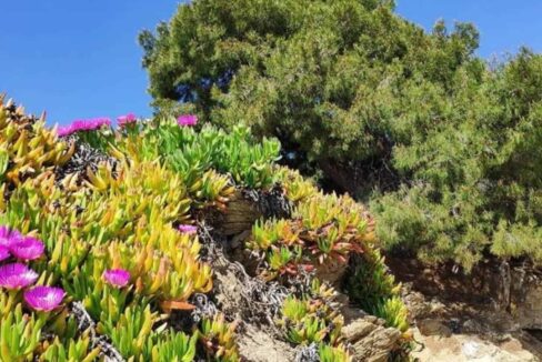 Plot land for sale chalkidiki greece4