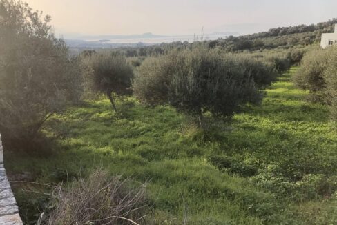 plot-for-sale-in-adele-rethymno-3