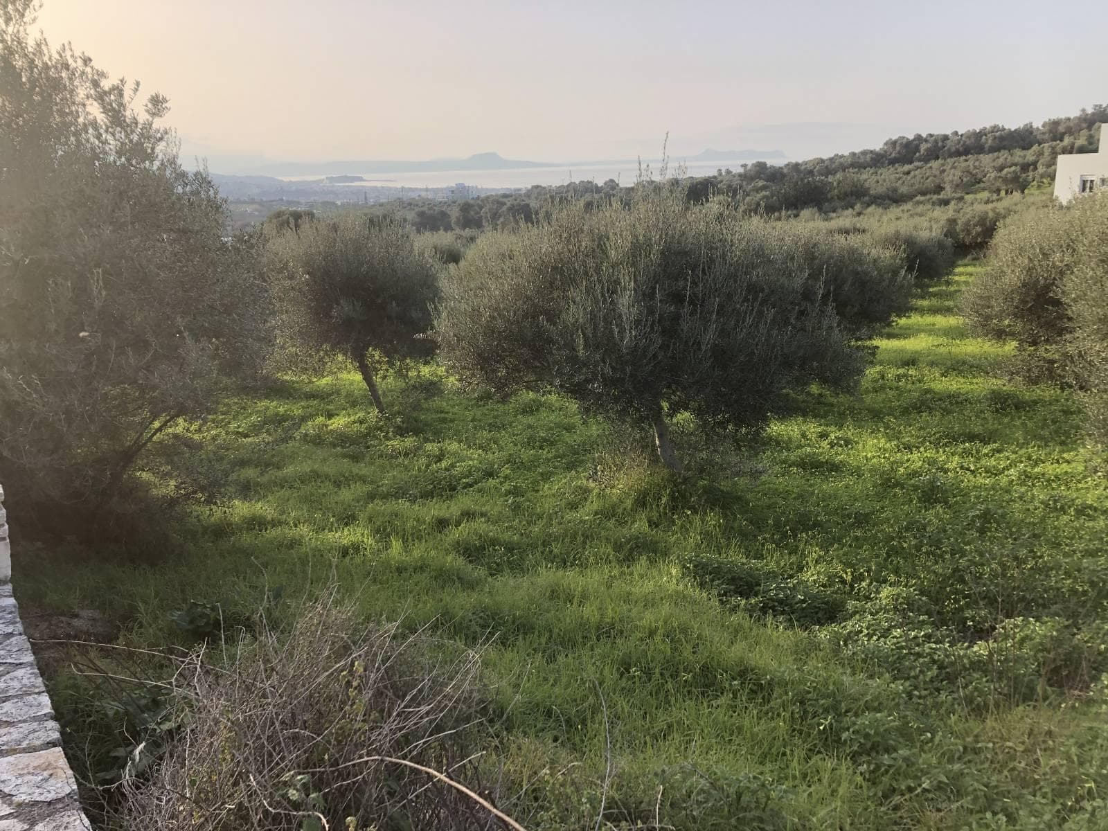 plot-for-sale-in-adele-rethymno-3