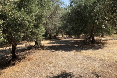 plot-for-sale-in-rethymno-5