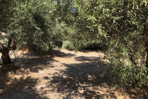 plot-for-sale-in-rethymno-6