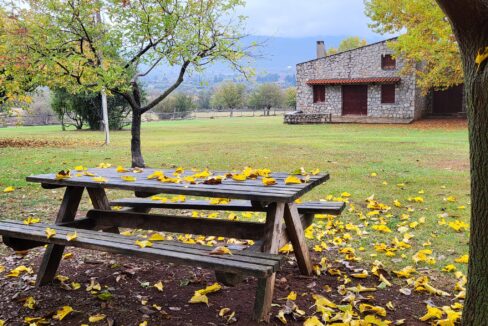 465926066_980147894157621_7480872037244589516_n