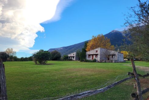 466975934_985179123654498_4871064158686225806_n