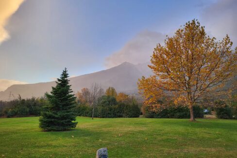 467854694_985179026987841_6374626493032749880_n