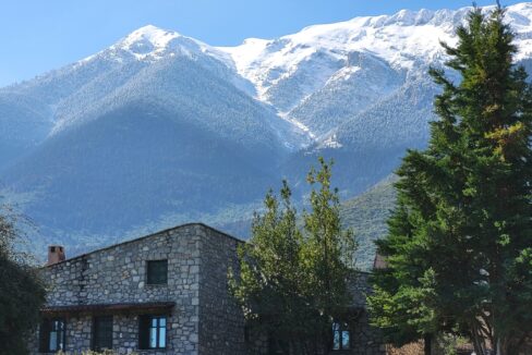 481246041_1059030169602726_414220797847461710_n