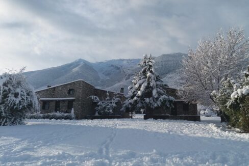 484070643_1069166971922379_8609844099869195417_n