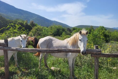 486675118_1078258704346539_3485650297439579975_n