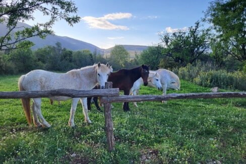 486740171_1077848461054230_2568923649191254030_n