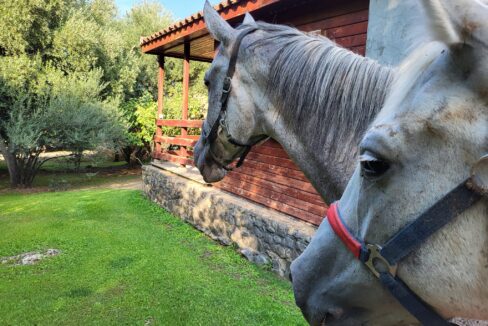 487207650_1080146254157784_2674354749942944745_n