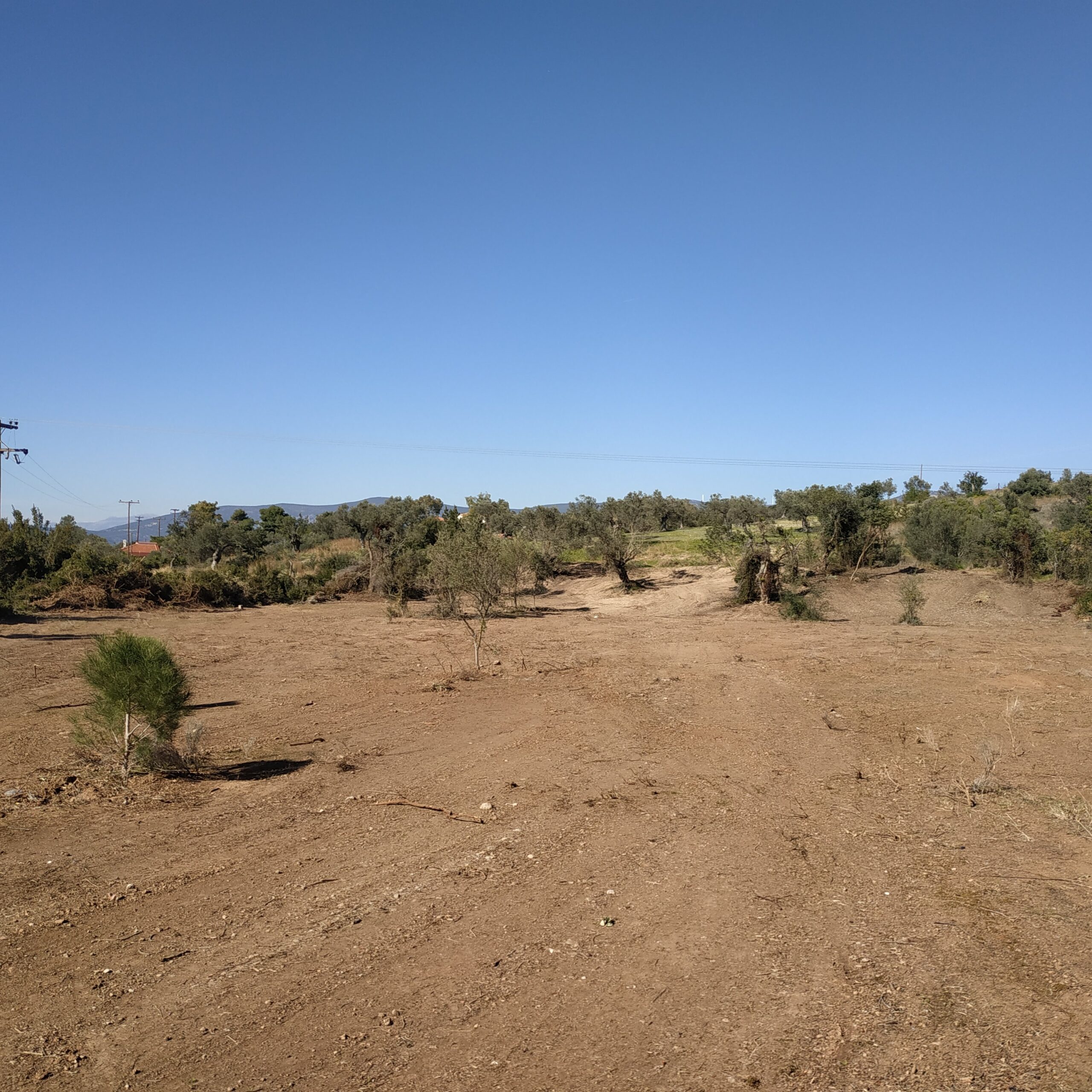 6250m² Plot for Sale in Lakkes, Greece