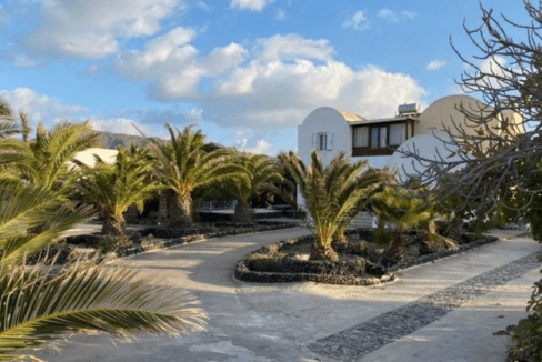 Villa in Oia Santorini Greece Palm Trees