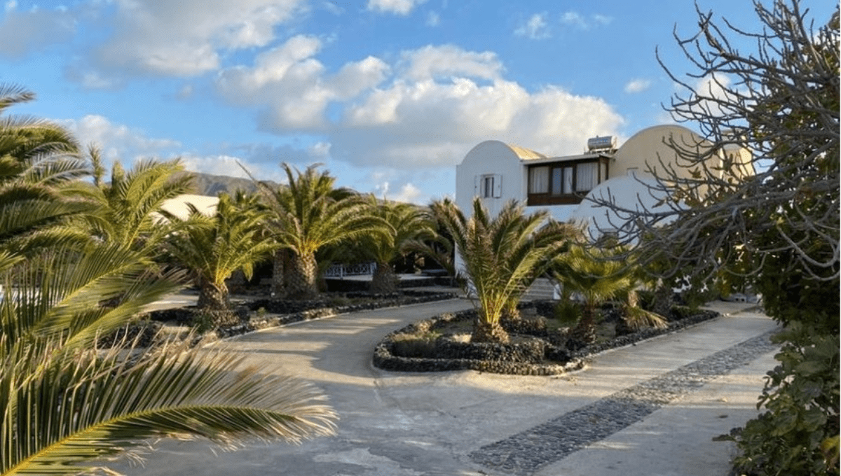 Villa in Oia Santorini Greece Palm Trees