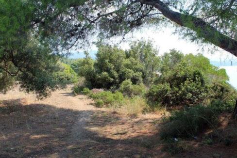 Plot land for sale chalkidiki greece3