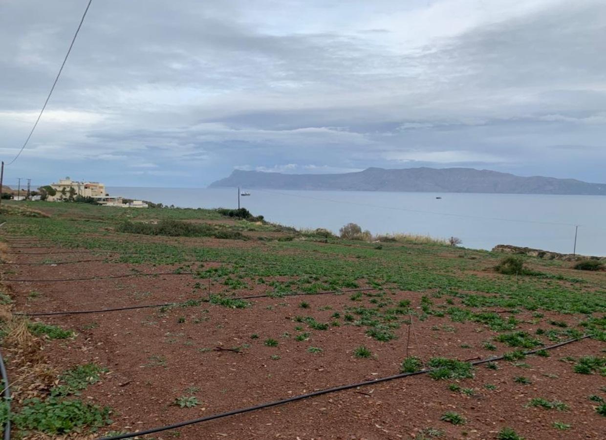 Plot Reaching The Sea Ideal For Commercial Development in Chania
