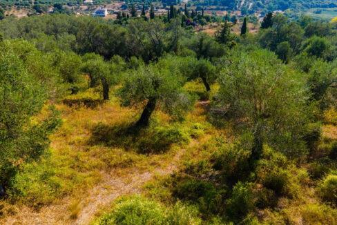 land-for-sale-in-corfu 3