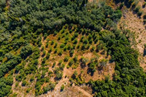 land-for-sale-in-corfu 4