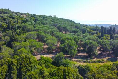 land-for-sale-in-corfu-greece