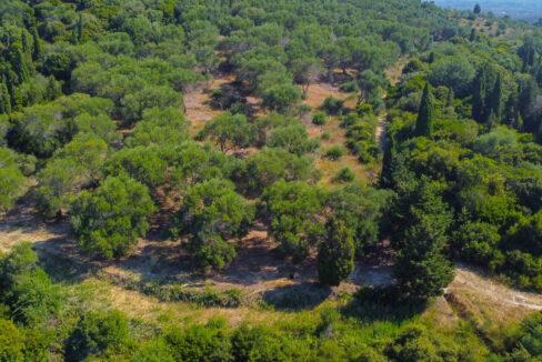 land-for-sale-in-corfu-greece 4