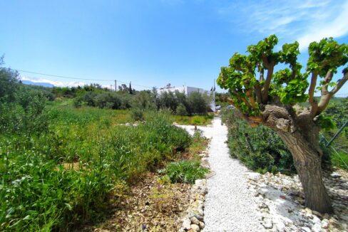 house for sale in chania 11
