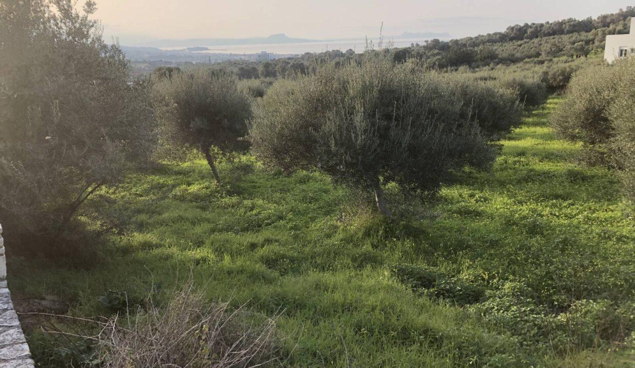plot-for-sale-in-adele-rethymno-3