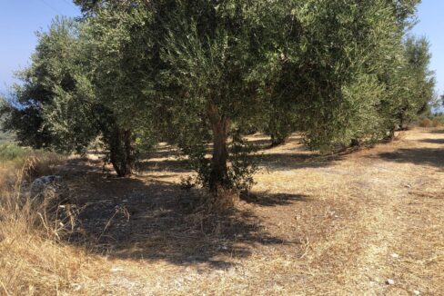 plot-for-sale-in-rethymno-2