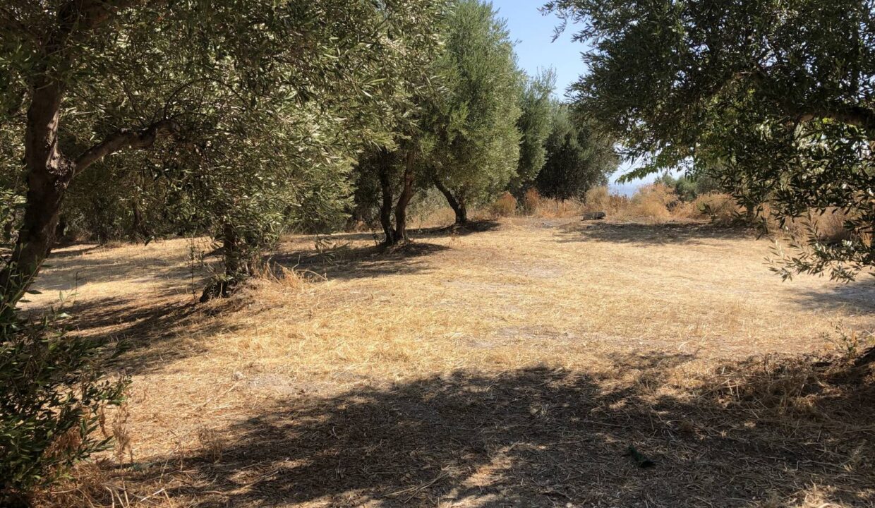 plot-for-sale-in-rethymno-3