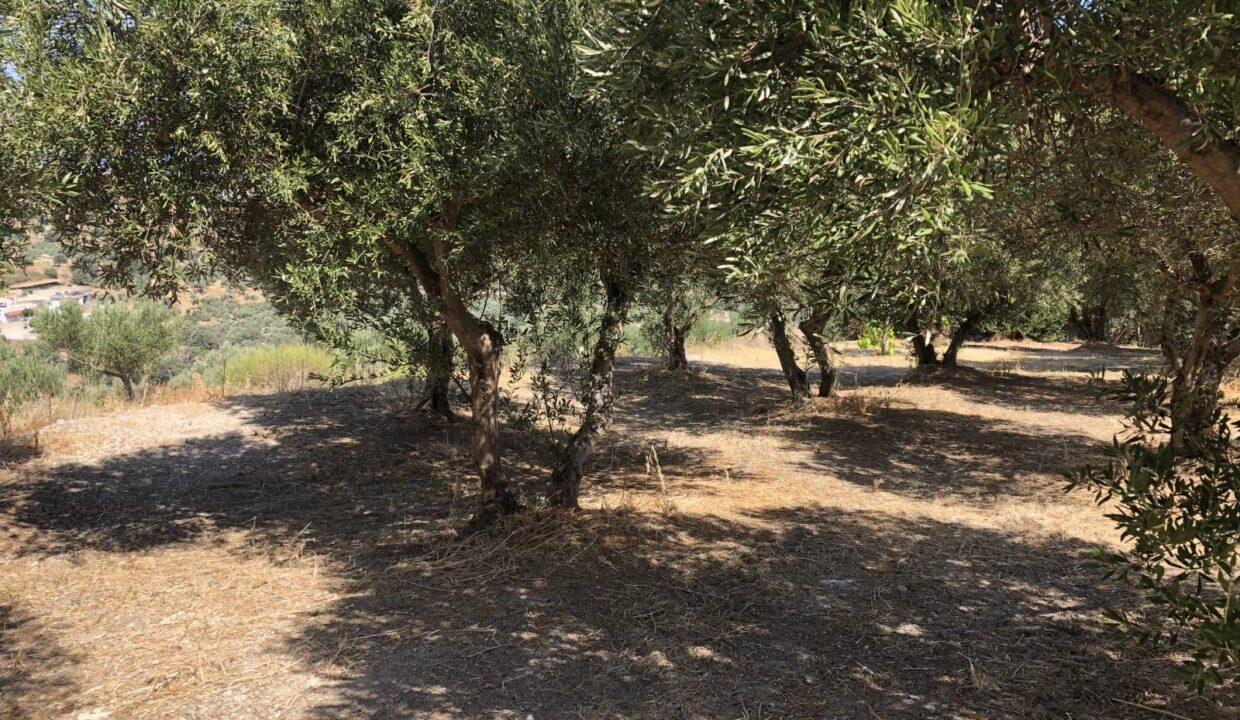 plot-for-sale-in-rethymno-4