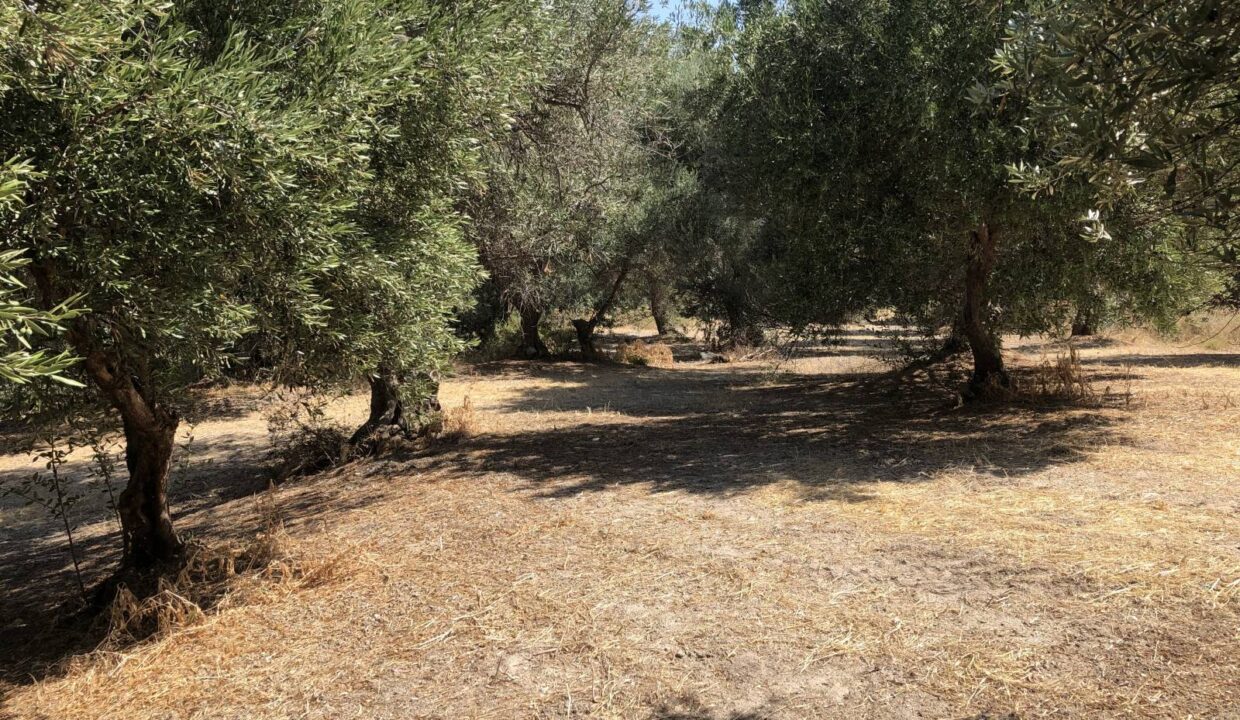 plot-for-sale-in-rethymno-5