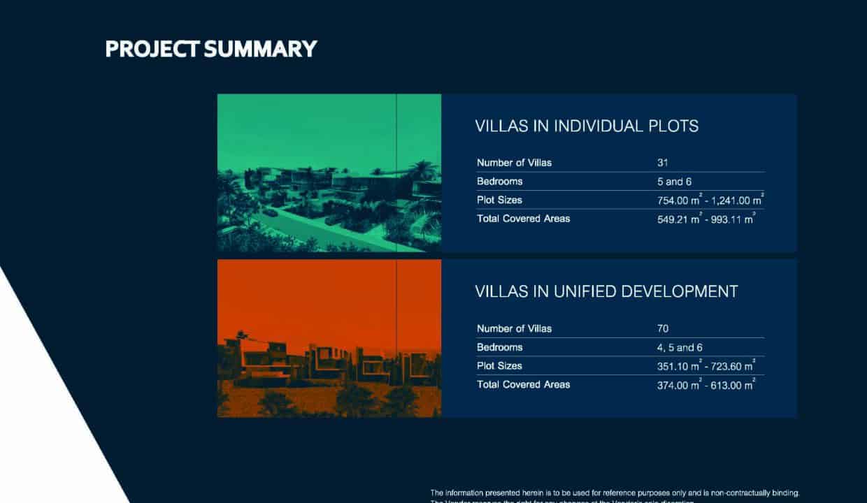 project summary