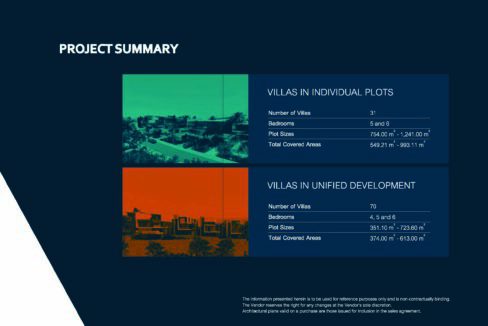 project summary