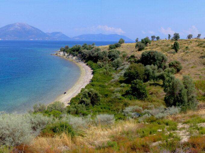 AGRICULTURAL PROPERTY FOR SALE IN EVIA