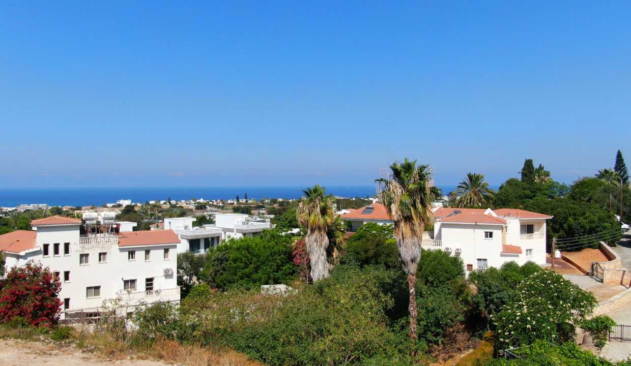 5-6 roof garden view