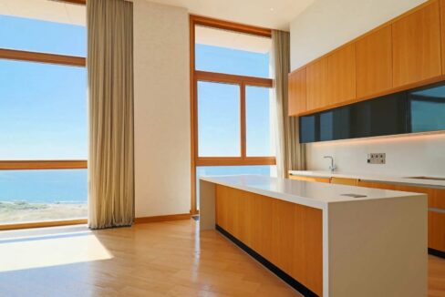 Penthouse in Limassol13